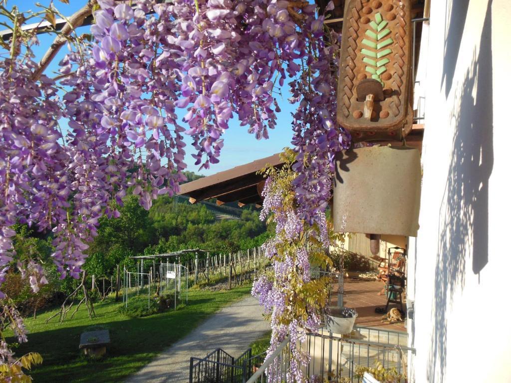 Agriturismo Affittacamere Barbarossa Dogliani Exterior foto